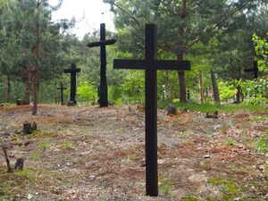 Cmentarz w Ostrówkach