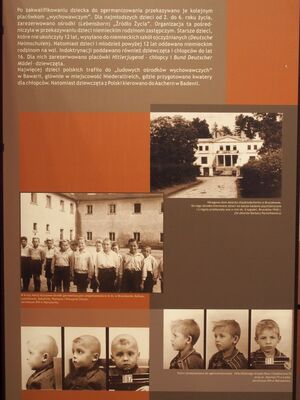 Wystawa „Germanizacja dzieci polskich w czasie II wojny światowej” #8