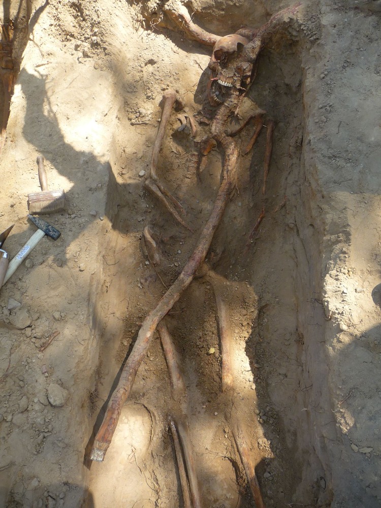 Zdjęcie wykonane podczas prac ekshumacyjnych na „Łączce